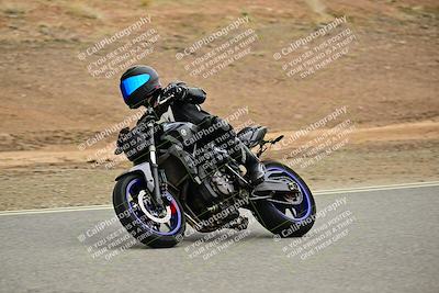 media/Nov-22-2025-2WTD (Sat) [[7eb050eb5f]]/C Group/Session 2 (Turn 7)/